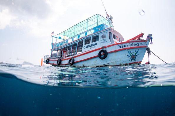 Hôtel Carabao Diving Koh Tao Extérieur photo