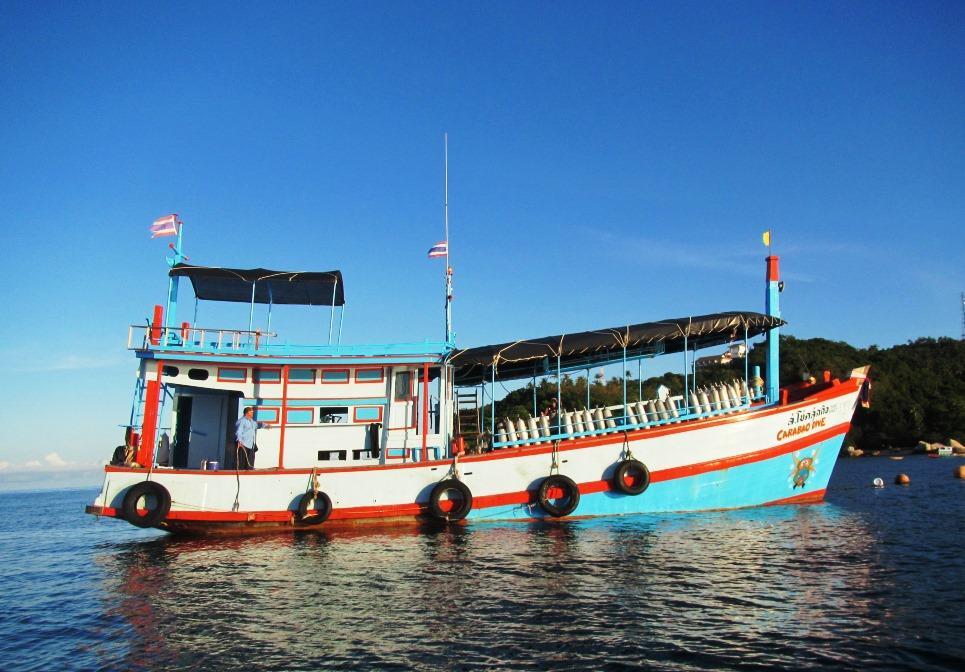 Hôtel Carabao Diving Koh Tao Extérieur photo